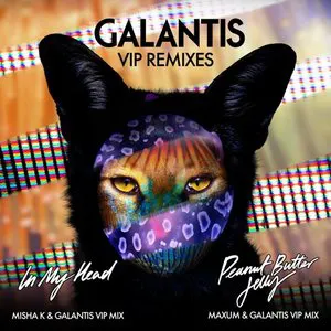 Pochette VIP Remixes