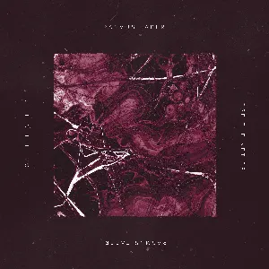 Pochette de Lose the Net EP de Rasmus Faber