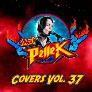 Pochette de Covers, Vol. 37 de PelleK