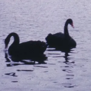 Pochette de Helles Licht/ Dunkler Raum de SKUPPIN
