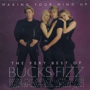 Pochette Making Your Mind Up - The Very Best Of
